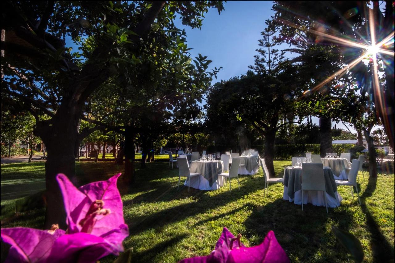 Hotel Alpha Sant'Agnello Εξωτερικό φωτογραφία